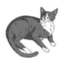 Clip Art\Animals\Cat