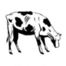 Clip Art\Animals\Holstein