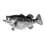 Clip Art\Animals\Large Mouth