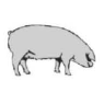 Clip Art\Animals\Pig
