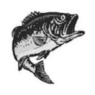 Clip Art\Animals\Striking Fish