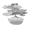 Clip Art\Plants and Trees\Bonzai Tree