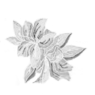 Clip Art\Plants and Trees\Lillies