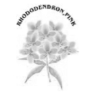 Clip Art\Plants and Trees\Rhododendron
