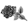 Clip Art\Plants and Trees\Rose