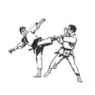 Clip Art\Sports\Karate