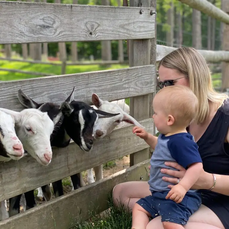 Wood Family at Farm