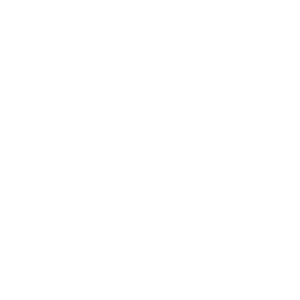 Transfer icon