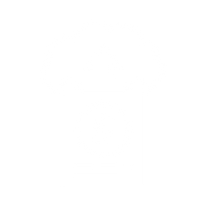 Zelle icon