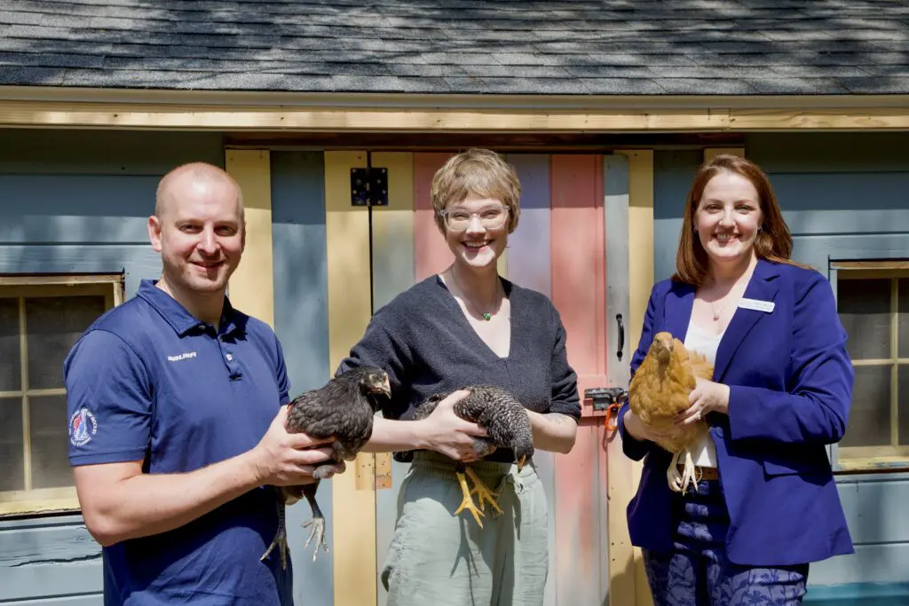 Chris and Victoria McIntosh and Samantha Monson holding chickens