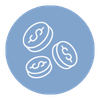 icon of coins