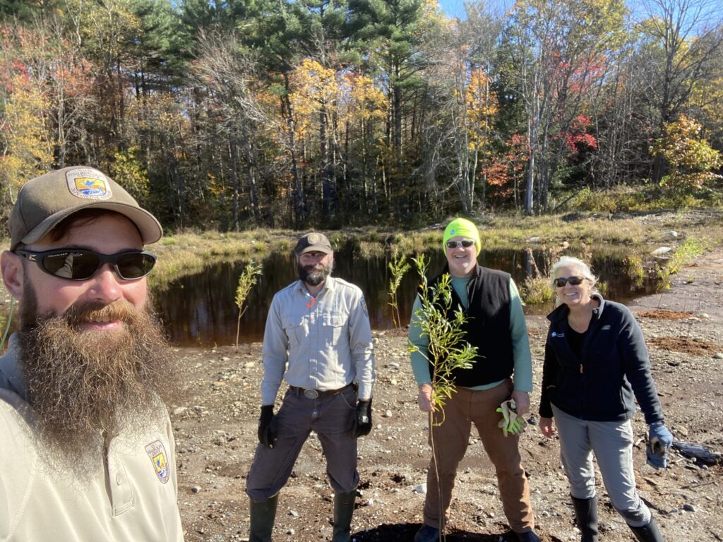 Chesterfield MA Dead Branch Westfield River Tree Planting