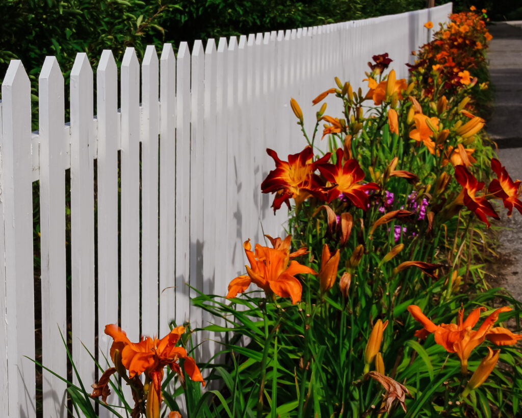 Pretty Picket Fence